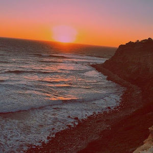 Meet your Posher, Malia